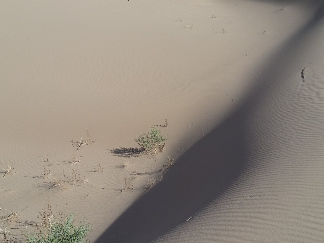 Ibex Dunes-Baker必去景点