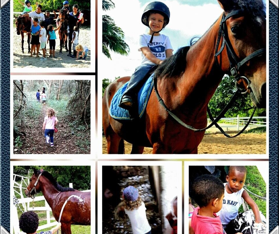 Cleland Equestrian Club-Saint Andrew Parish必去景点