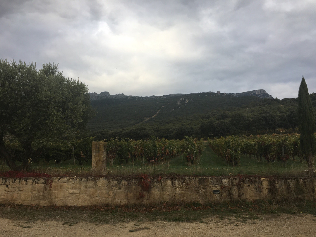 Granja Nuestra Senora de Remelluri景点图片