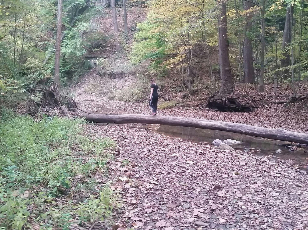 Wooster Memorial Park-Wooster必去景点