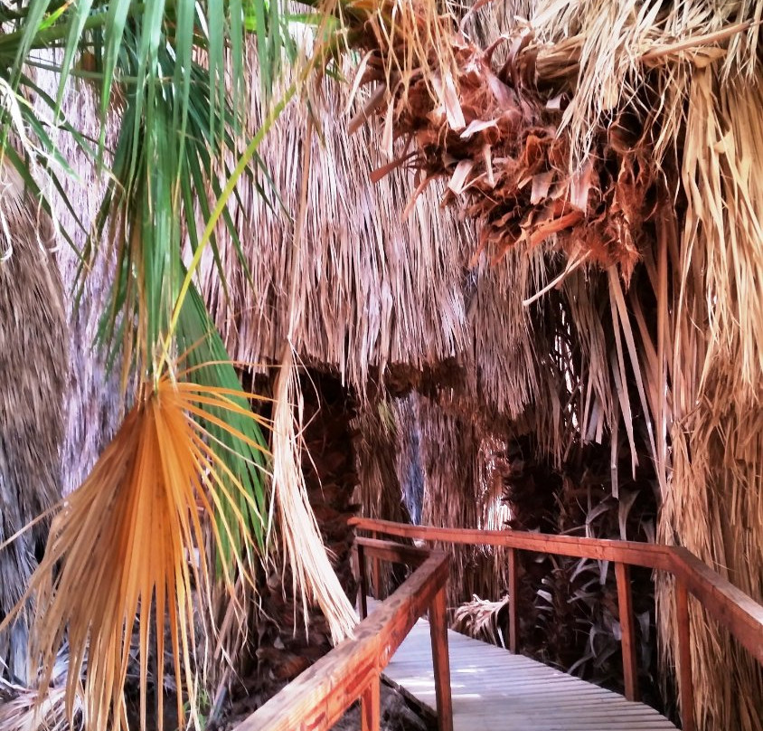 San Andreas Fault-棕榈沙漠必去景点