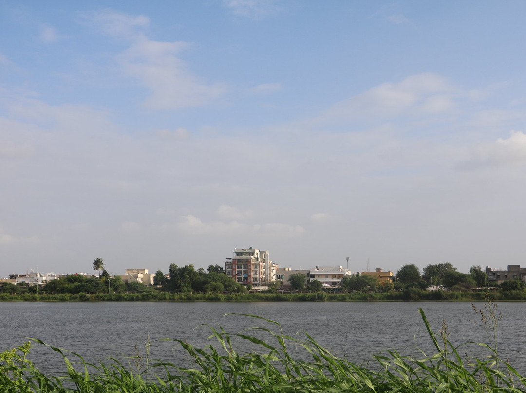 Matariya Talav景点图片
