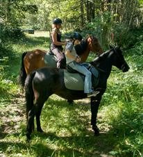 Misty Acres-Ravensdale必去景点