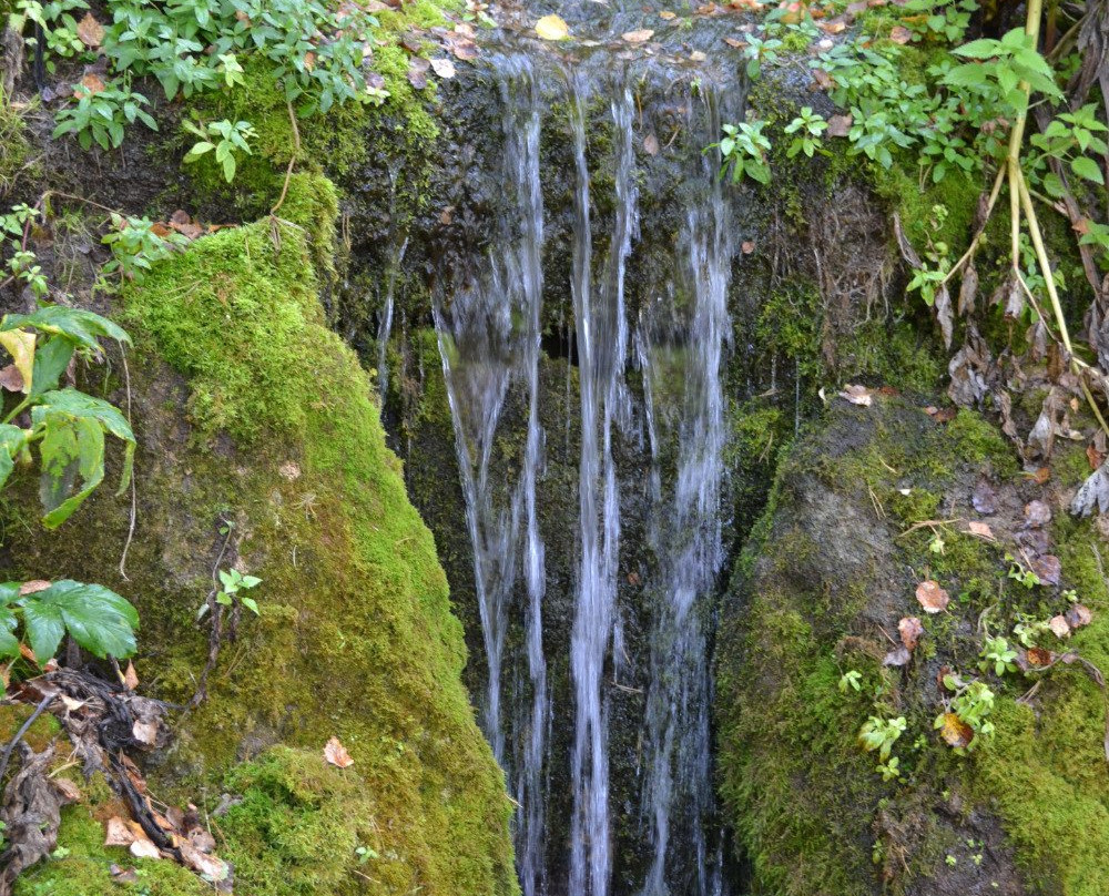 Dyzvezdny Spring-Baturino必去景点