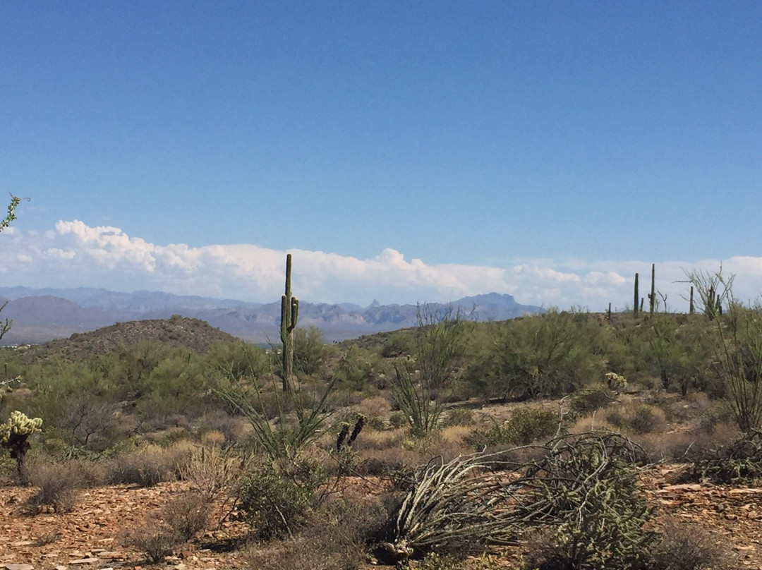 Dixie Mine Trail-Fountain Hills必去景点