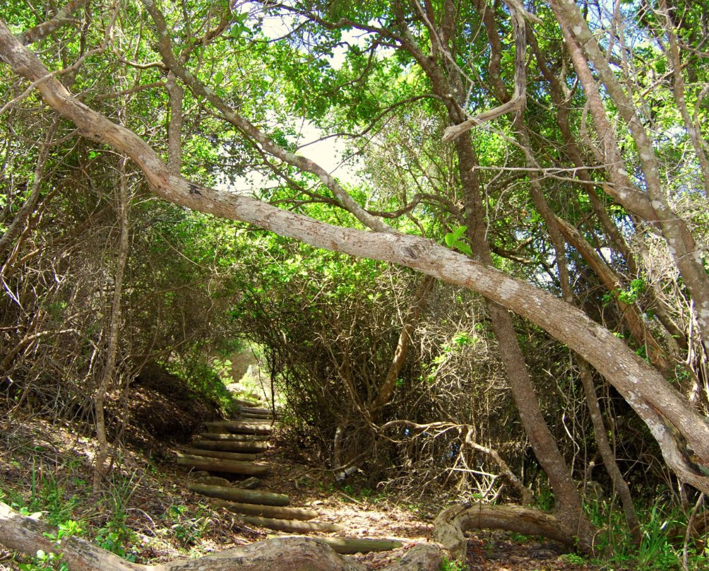 Tsitsikamma Hiking Trail-Grabouw必去景点