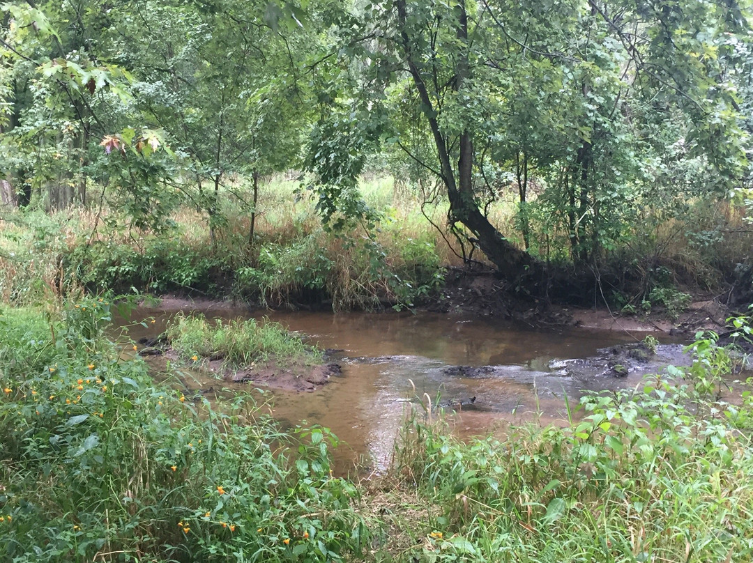 Pigeon Creek County Park-West Olive必去景点