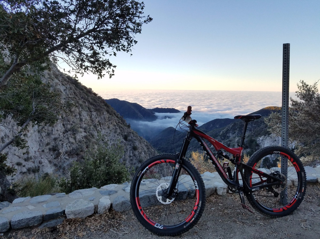 Mt Wilson MTB Adventure景点图片