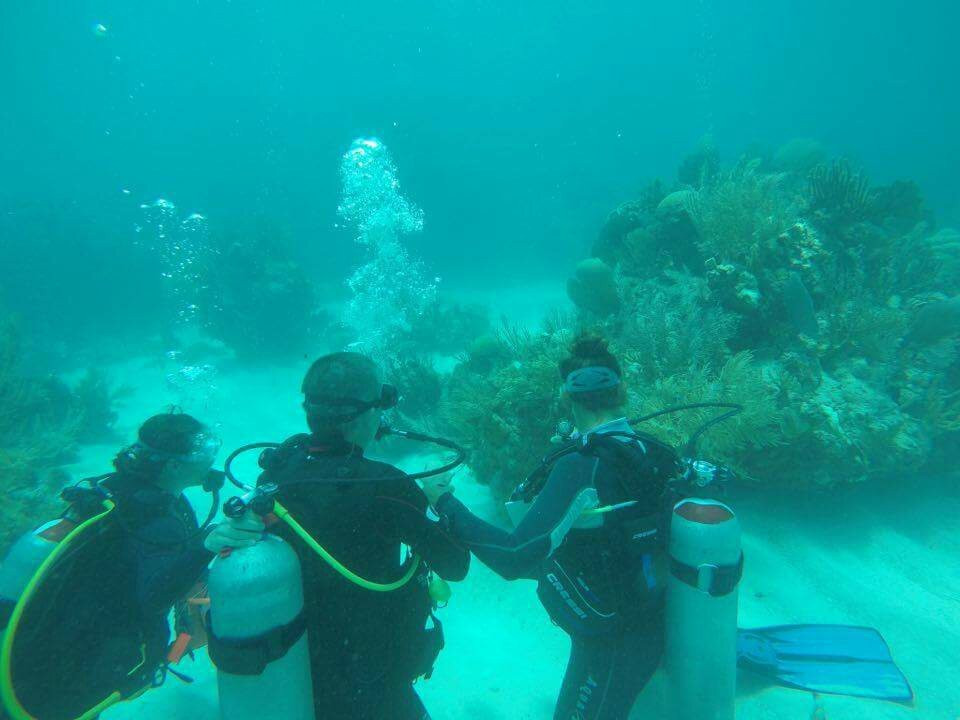 Manatus Mexico-从莫雷洛斯港必去景点