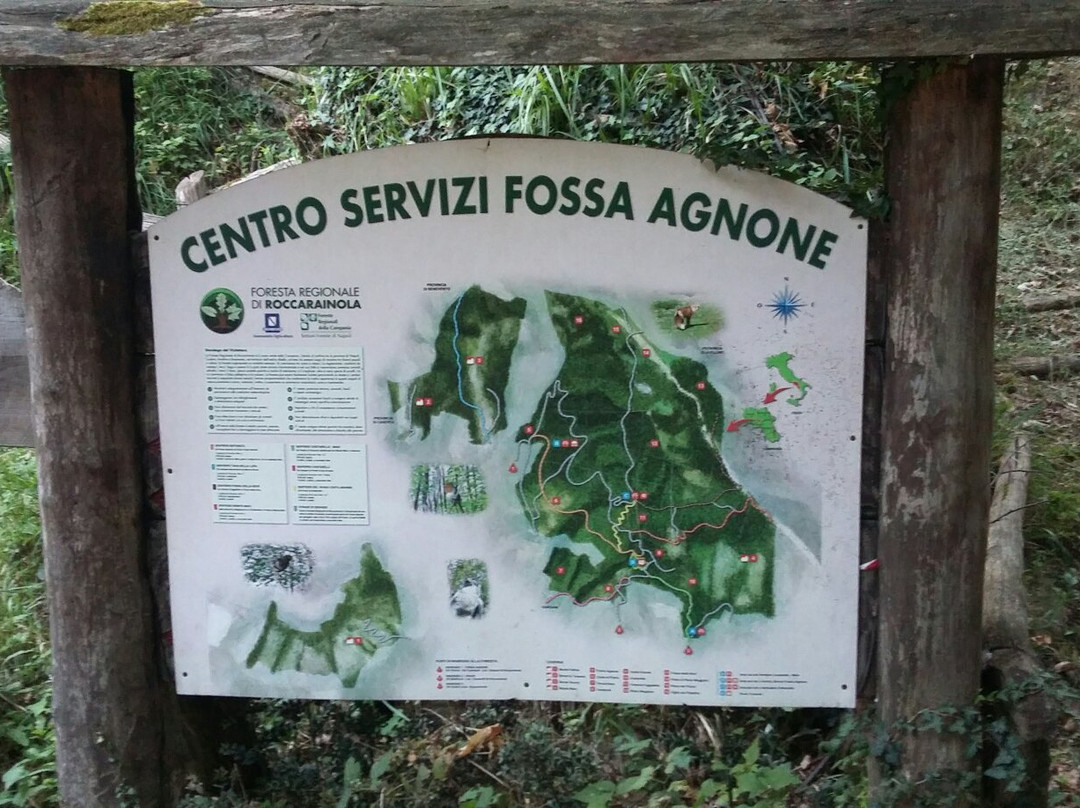 Foresta Regionale di Roccarainola景点图片