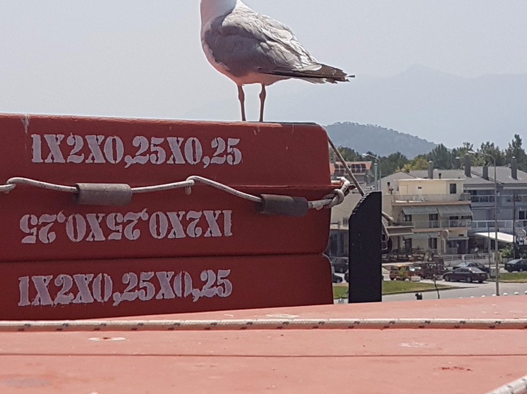 Hotel Stefanos主图
