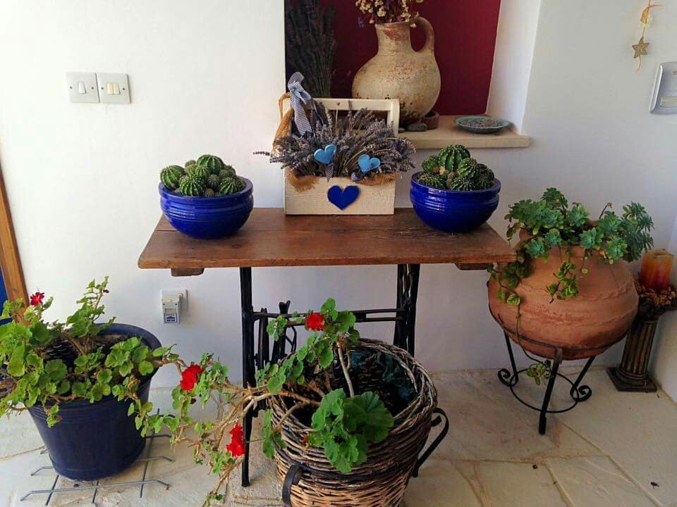 Vasa, Cyprus-Vasa必去景点