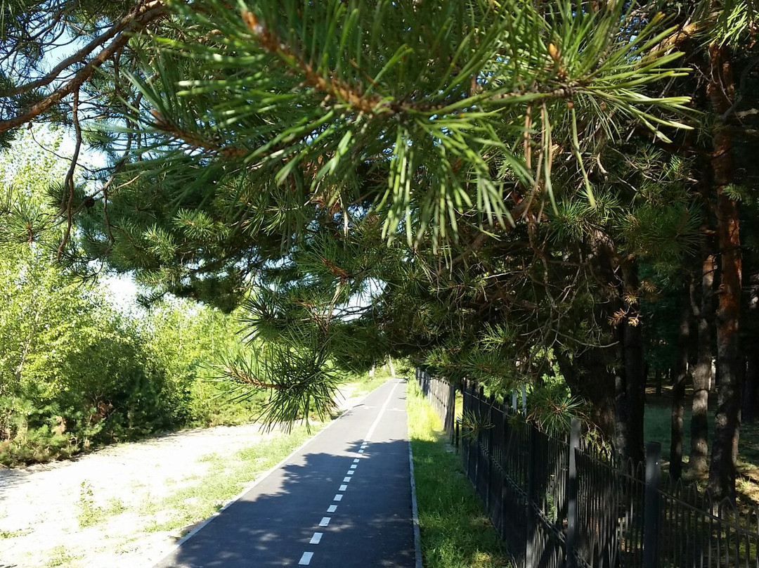 Forest Park of Gagarin-秋明必去景点