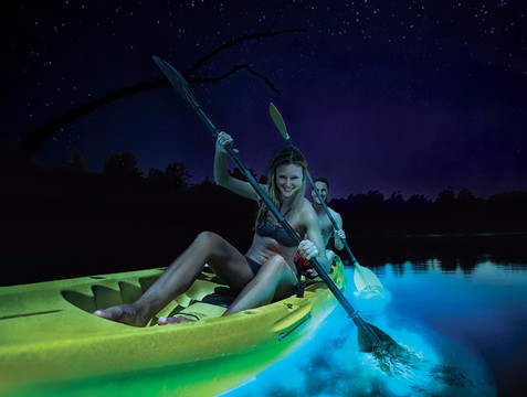 Blue Waters Caribbean Adventures-维切克岛必去景点