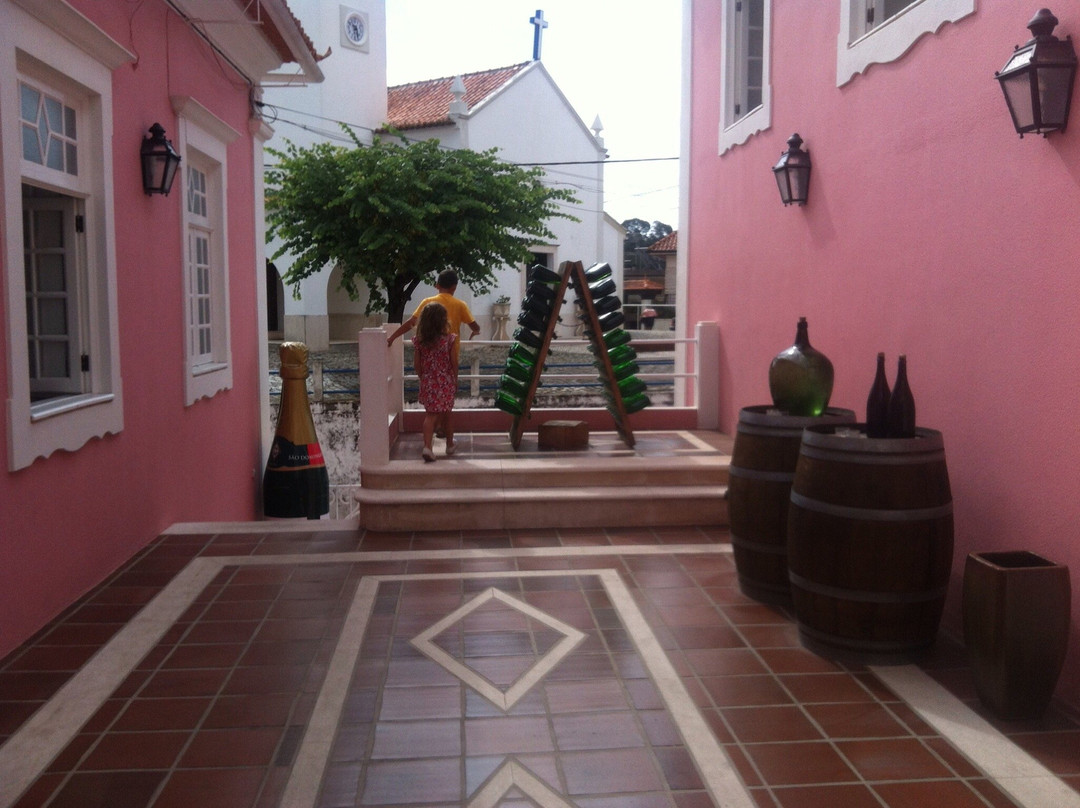 Caves do Solar de São Domingos景点图片