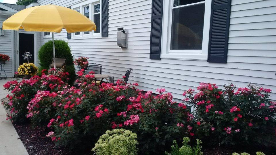 Midtown Bed & Breakfast主图