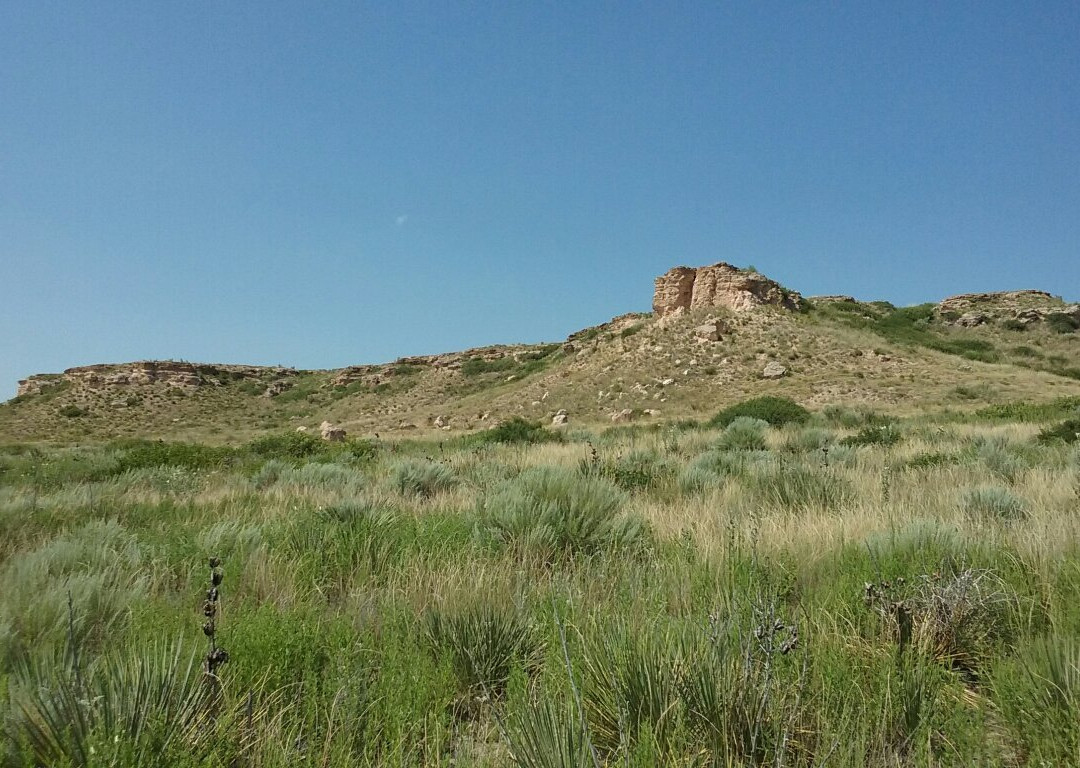 Cimarron National Grassland-Elkhart必去景点