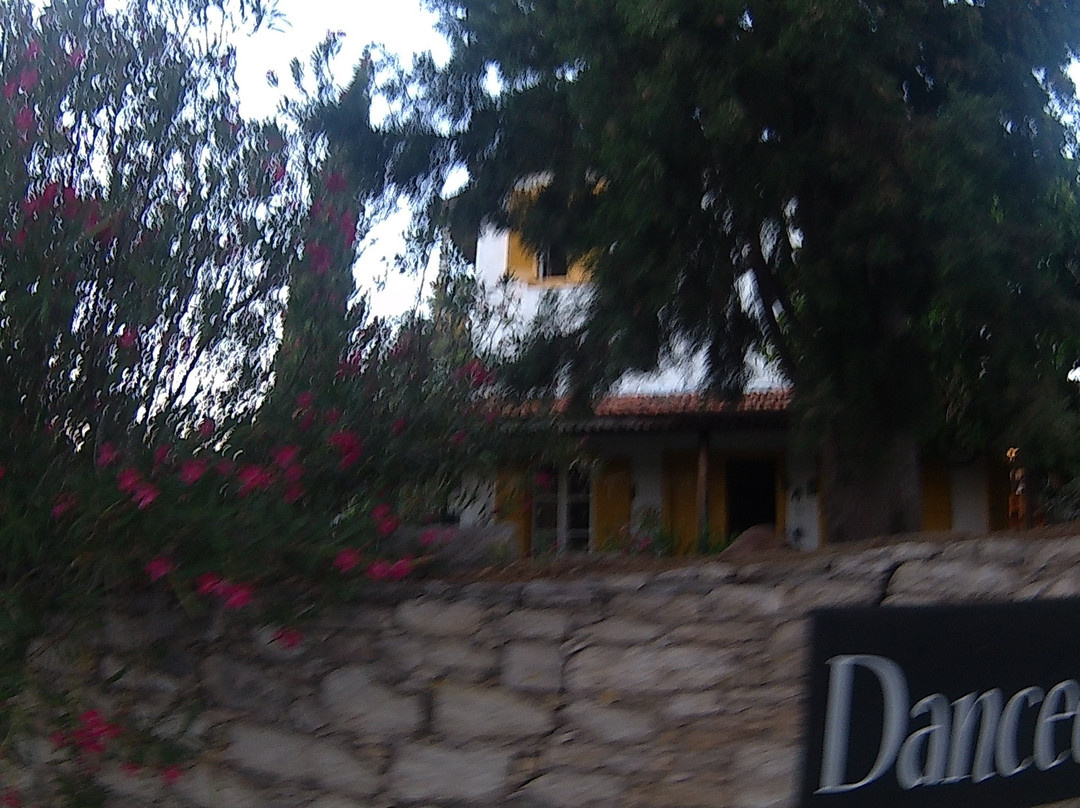 Michael Owen Art Gallery-拉尼亚必去景点