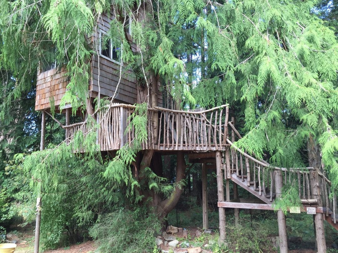 Orcas Island Pottery景点图片