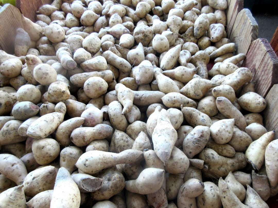 Larry's Produce-费尔菲尔德必去景点