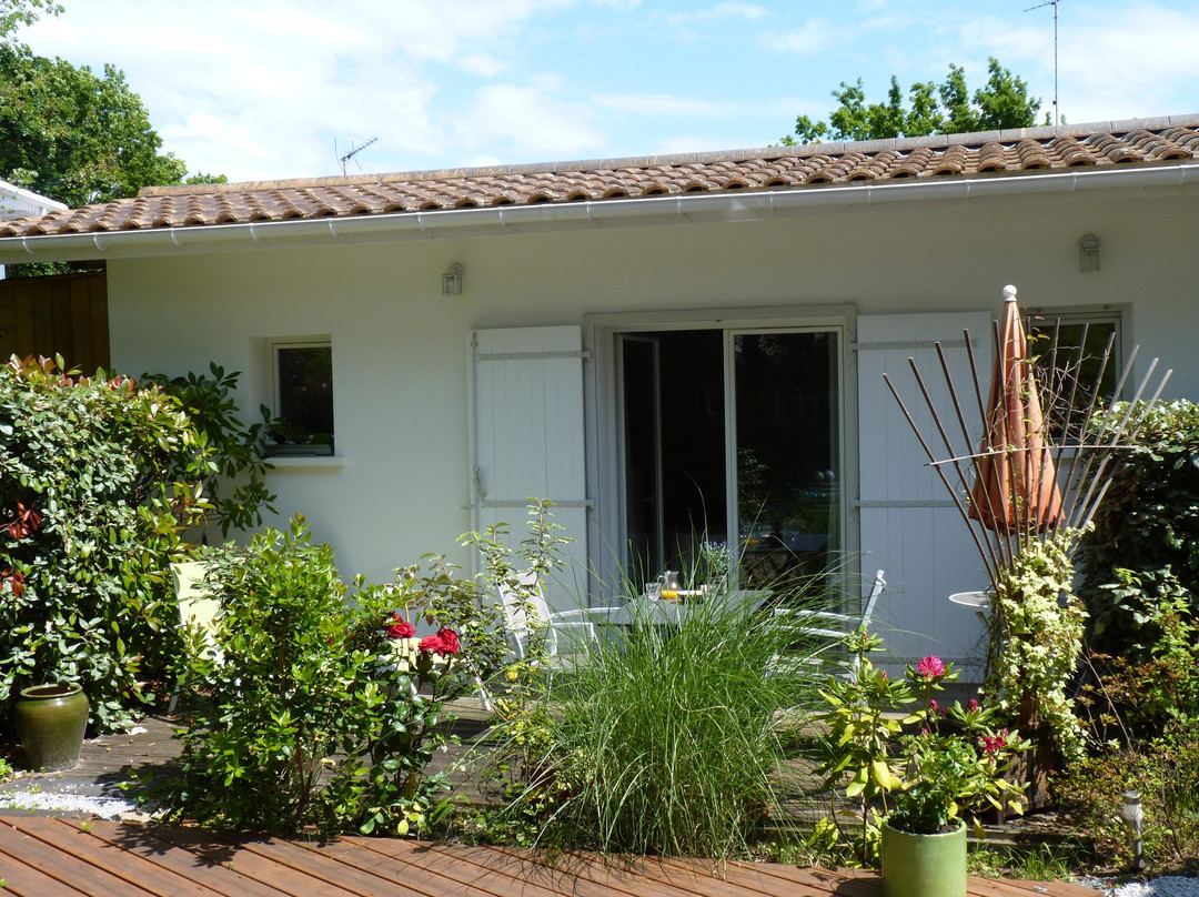 Les Terrasses du Bassin主图