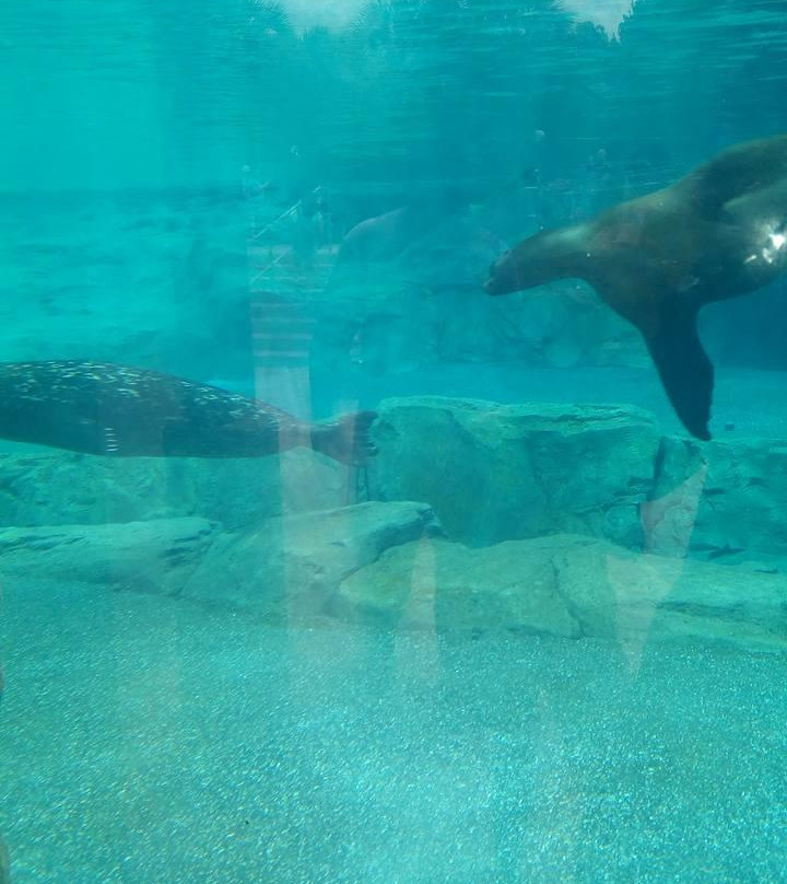 Sea Lion Landing-哥伦比亚必去景点