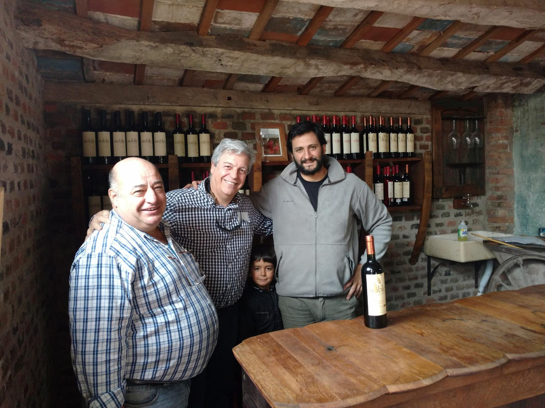 Bodega San Javier-圣哈维尔必去景点