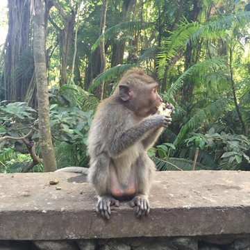 Great Bali Trekking-金塔马尼必去景点