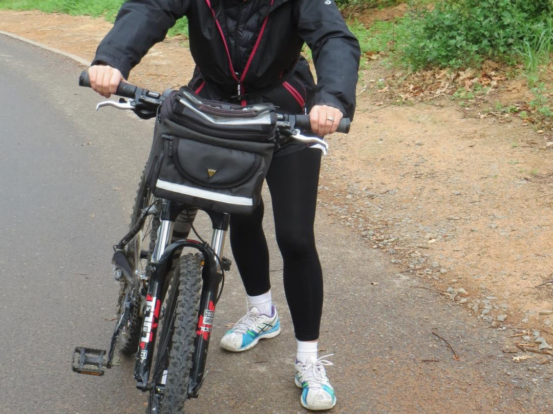 Bike and Saddle-克尼斯纳必去景点