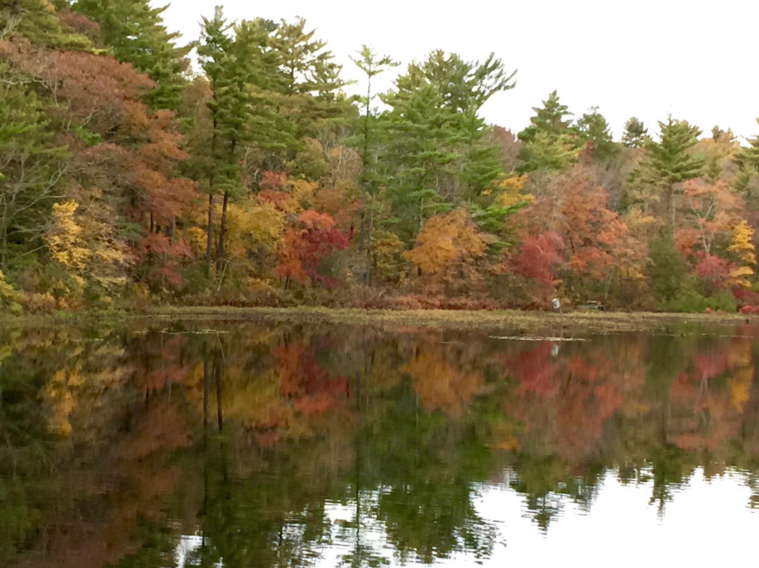 Norris Reservation-Norwell必去景点