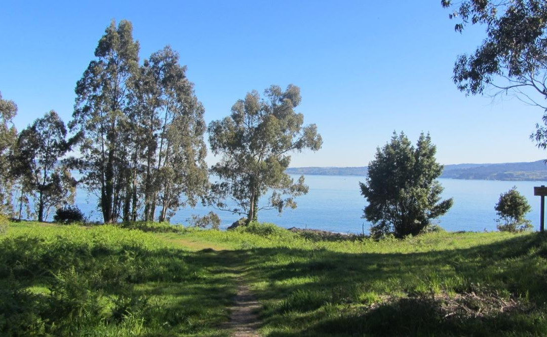 Marinan y Costa Doce Trail景点图片
