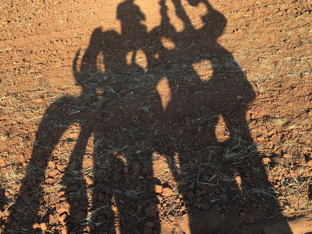 Iron Horse-阿森斯必去景点