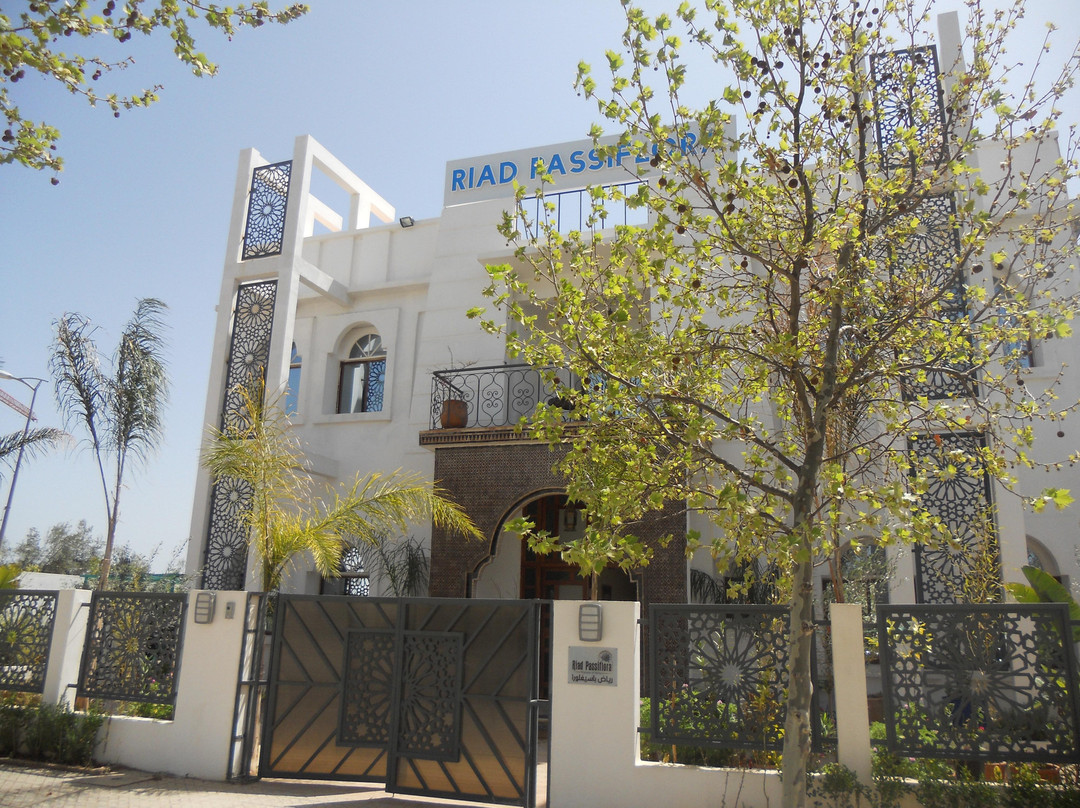 Oulad Tayeb酒店住宿-Riad Passiflora Fes