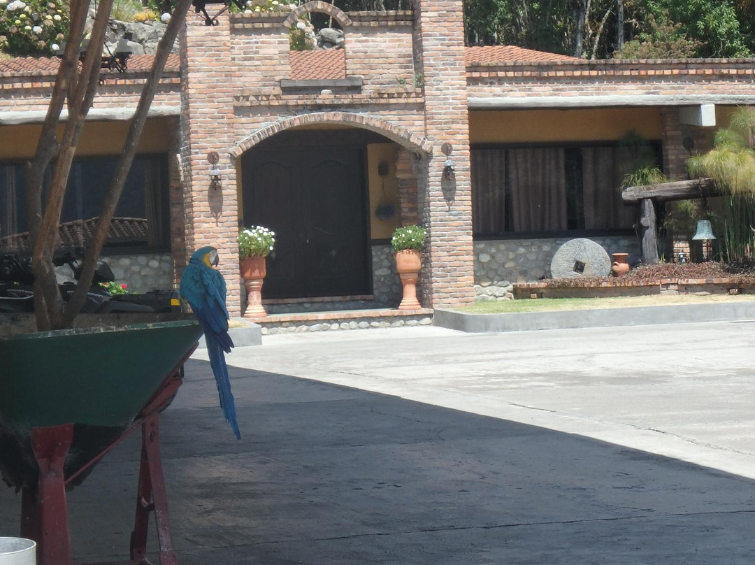 Parque Agro Turístico y de Aventura EcoWild-梅里达市必去景点