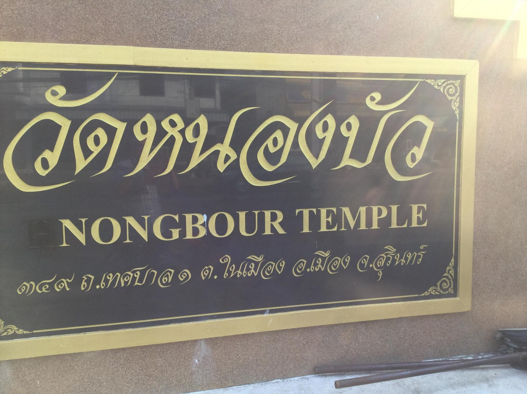 Wat Nongbua-素林必去景点