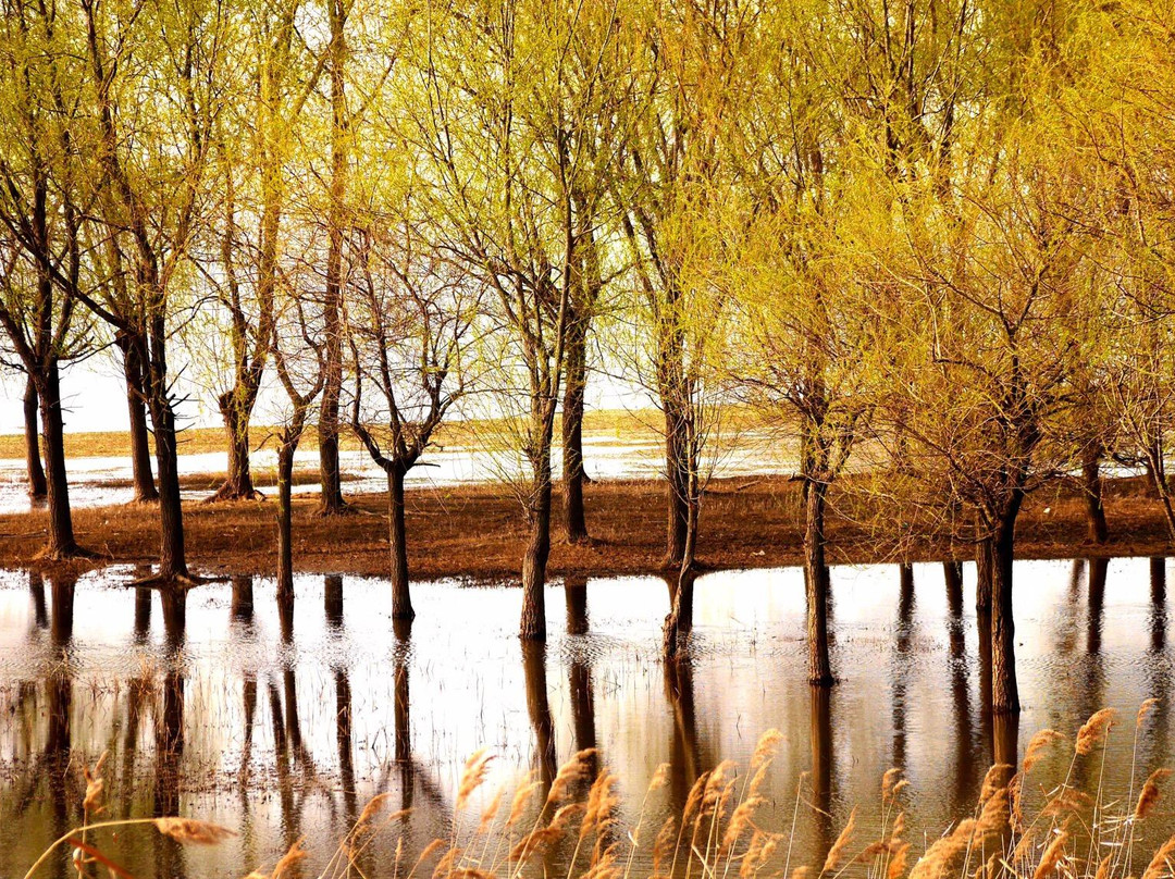 骆马湖湿地-宿迁市必去景点