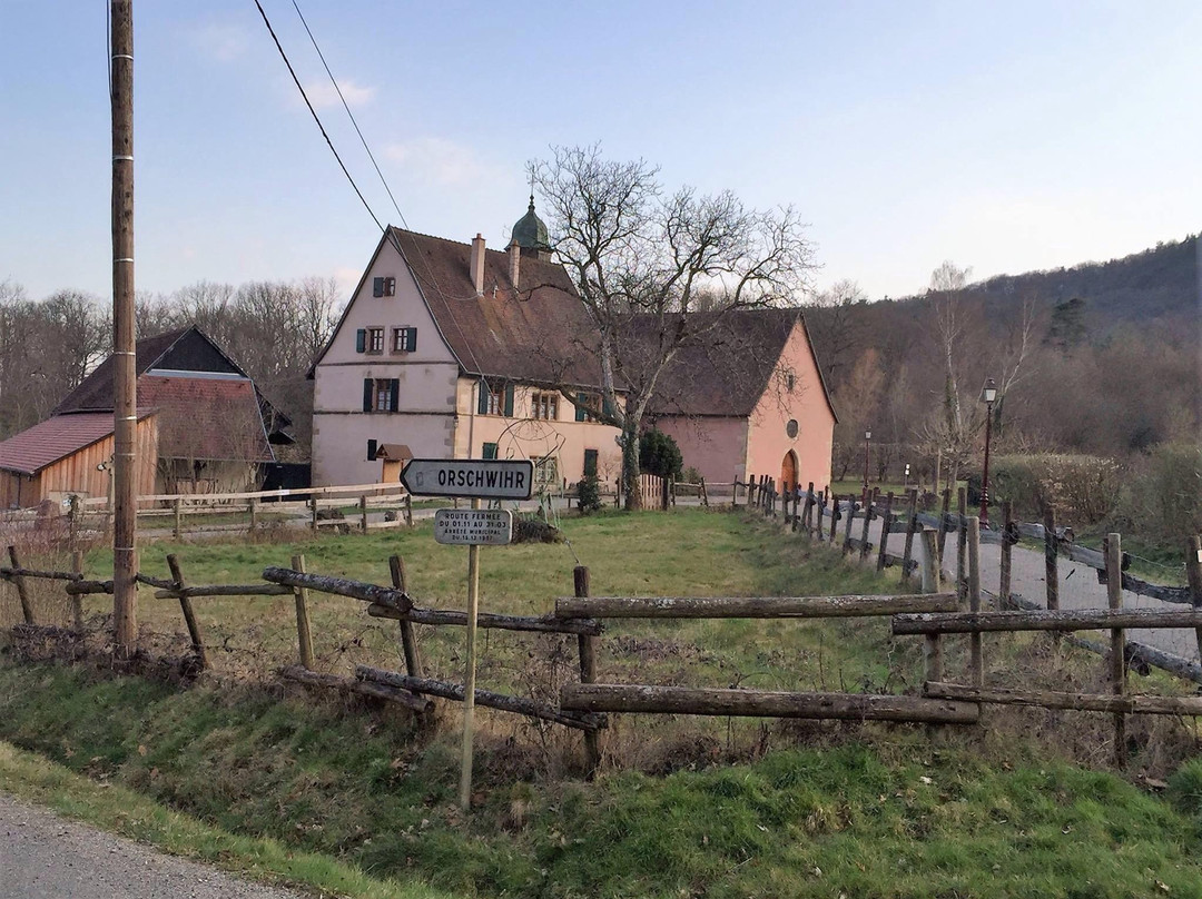 Chapelle du Schaeferthal景点图片