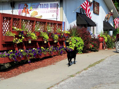 Malvern餐馆和美食-Tobey Jack's Mineola Steak House