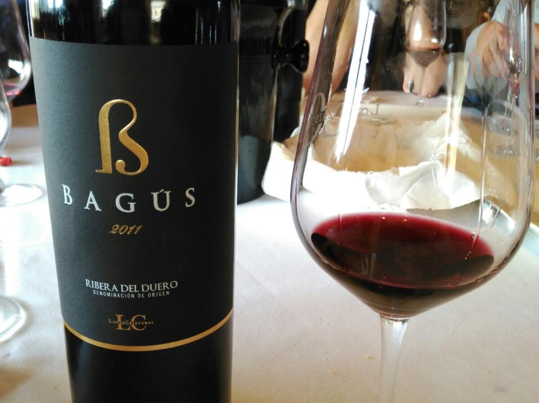 Bodegas Lopez Cristobal景点图片