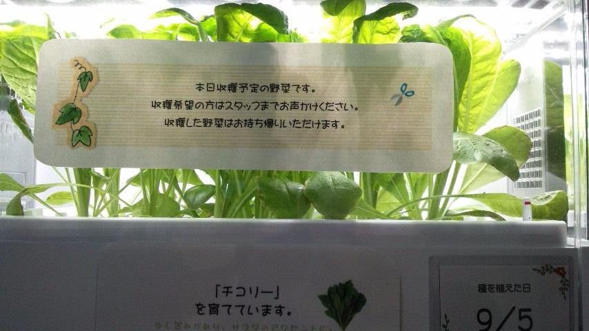 Miyzaki Science Center-宫崎市必去景点