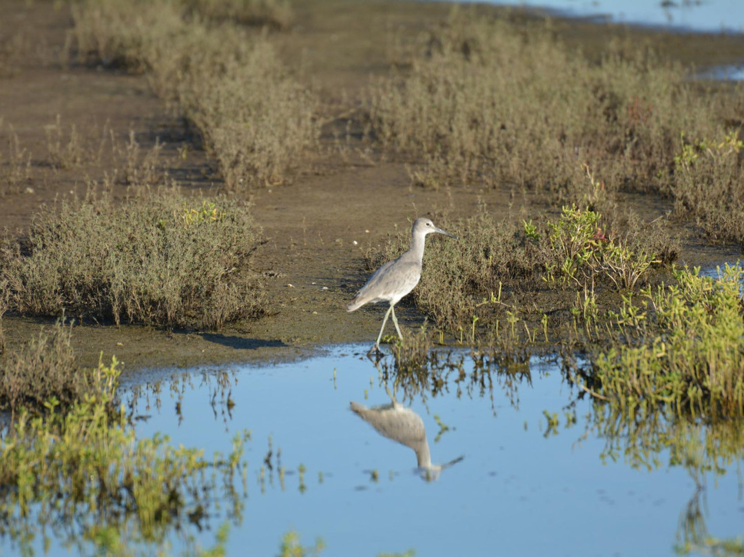 Big Reef Nature Park-盖维斯顿必去景点