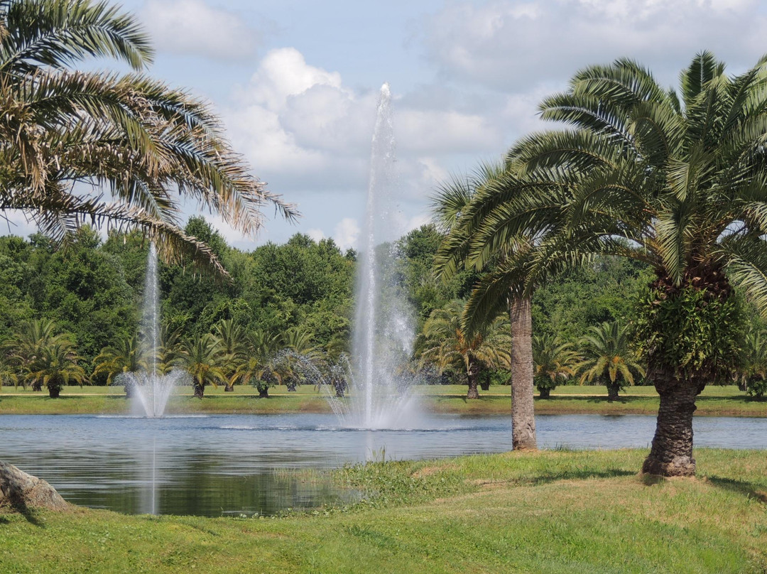 White Heron Golf Club-达文波特必去景点