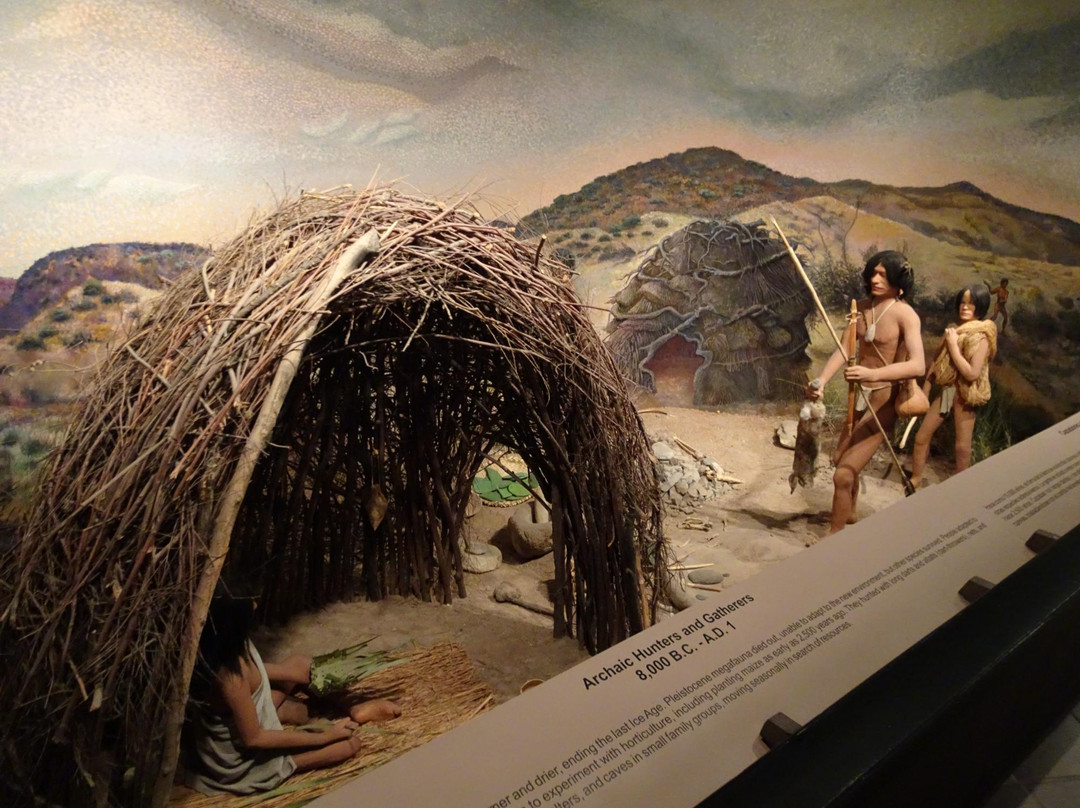 El Paso Museum of Archaeology-埃尔帕索必去景点