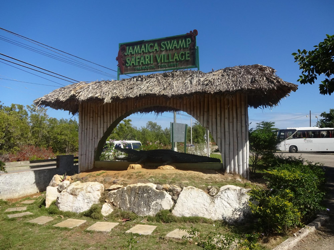 Blue Mahoe Tours - Sightseeing Tours景点图片