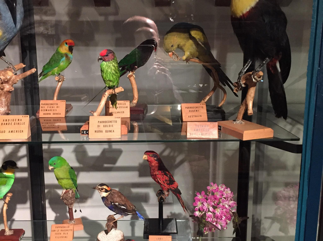 Museo NatuRa景点图片