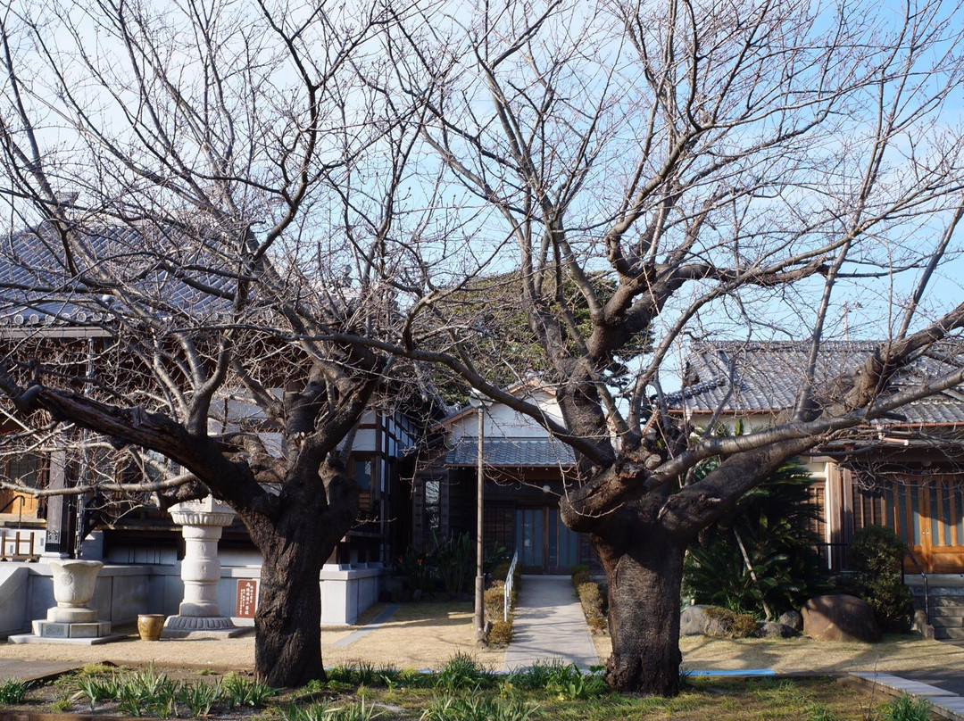 Konen-ji Temple-三浦市必去景点