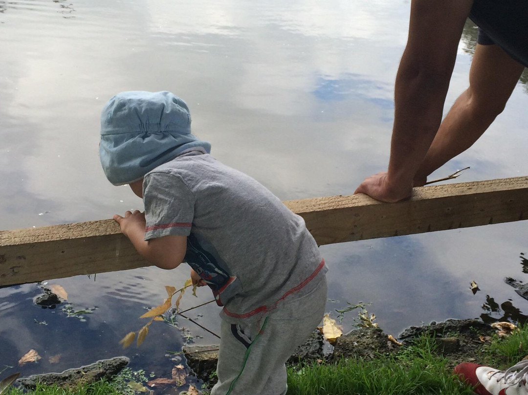 Willowbark Ranch B&B主图