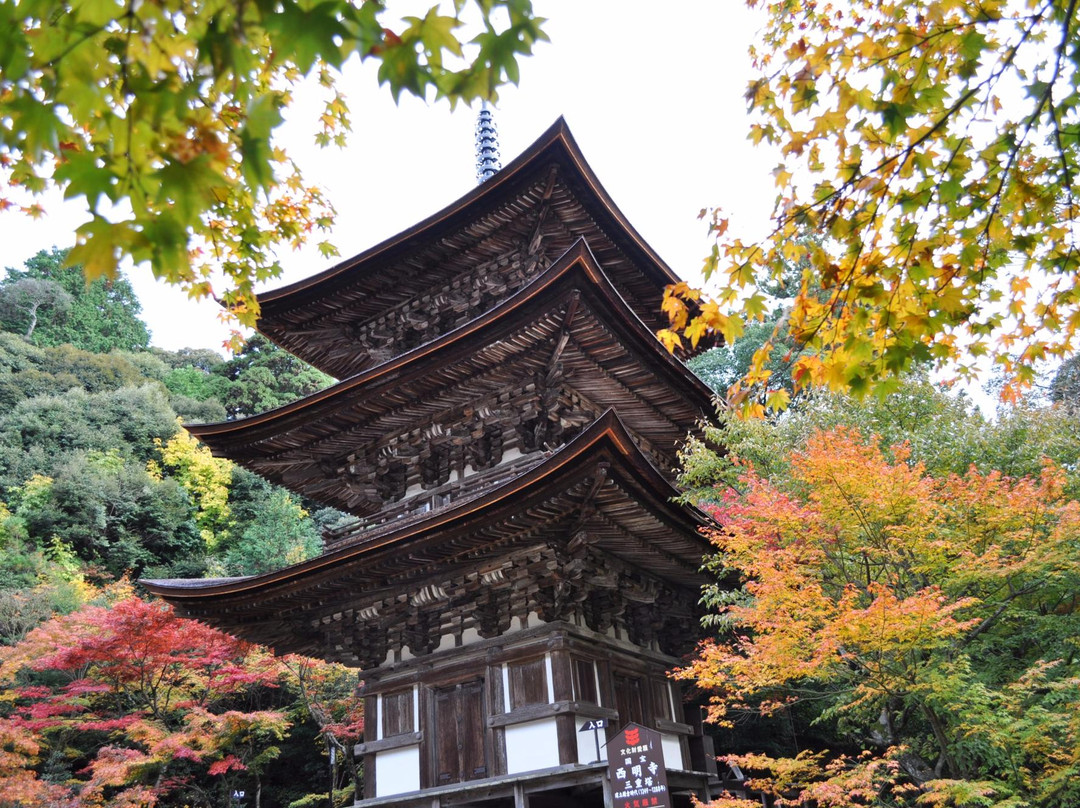 Saimyo-ji Temple-草津市必去景点