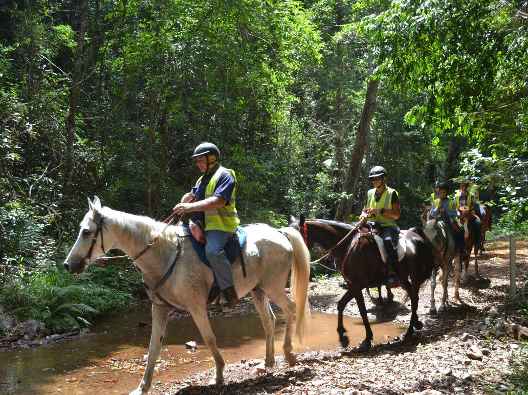 Mary Valley Adventure Trails景点图片