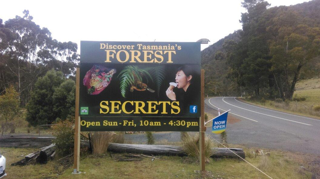Forest Secrets景点图片